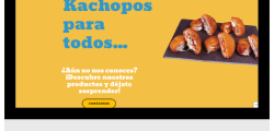 Tienda online Kachopo King clientes